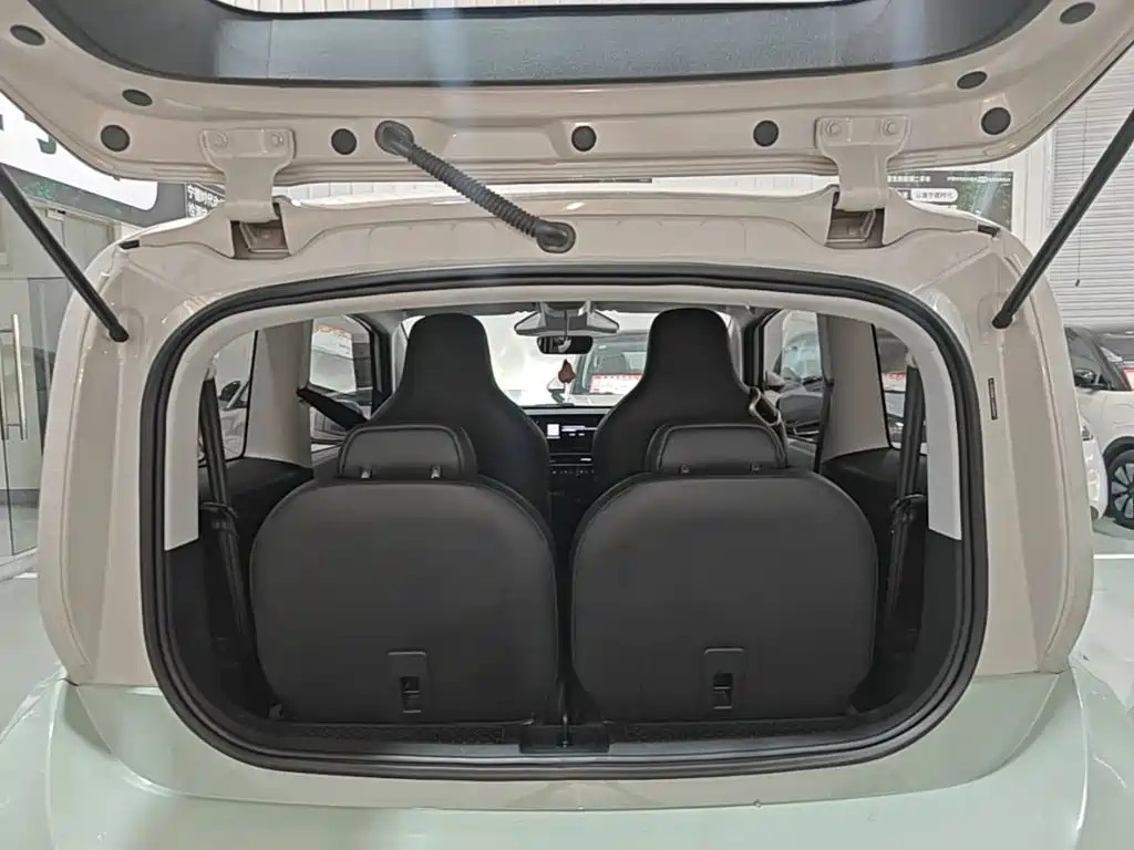 Baojun KiWi EV 2022 2023 DJI Edition LFP