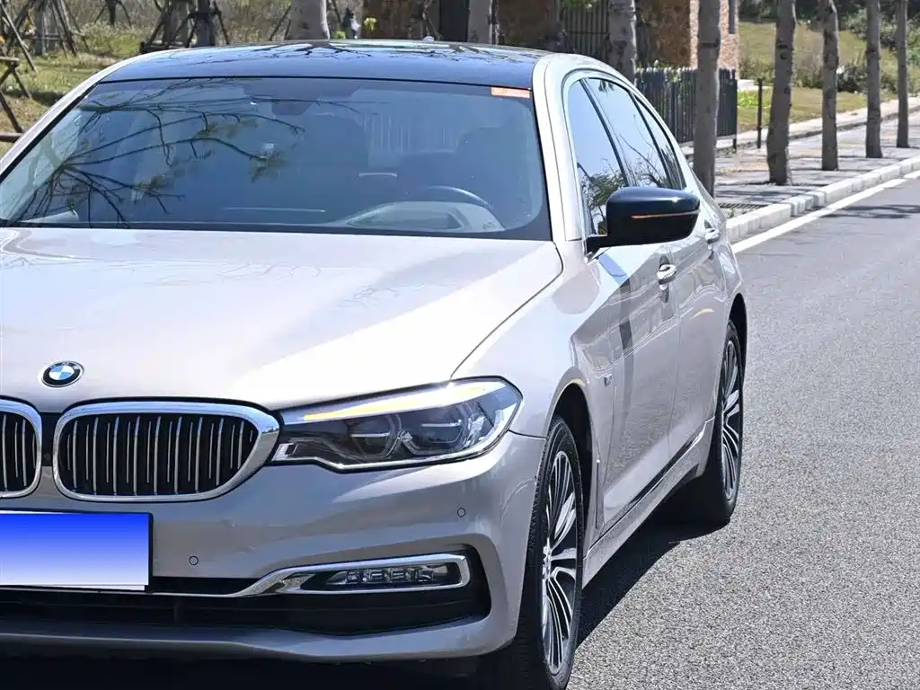 BMW 5 Series 2018 530Li Exclusive Luxury Package фото 4