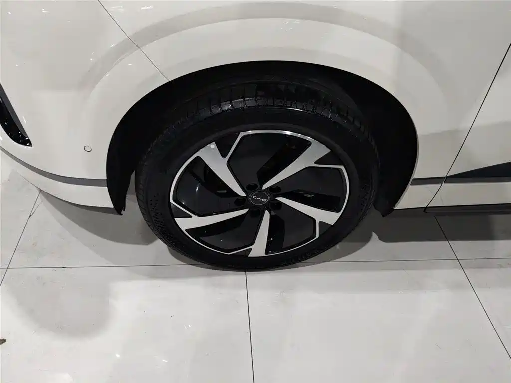 BYD Sealion 06 New Energy 2025 EV 605 Pilot Pro Edition фото 25