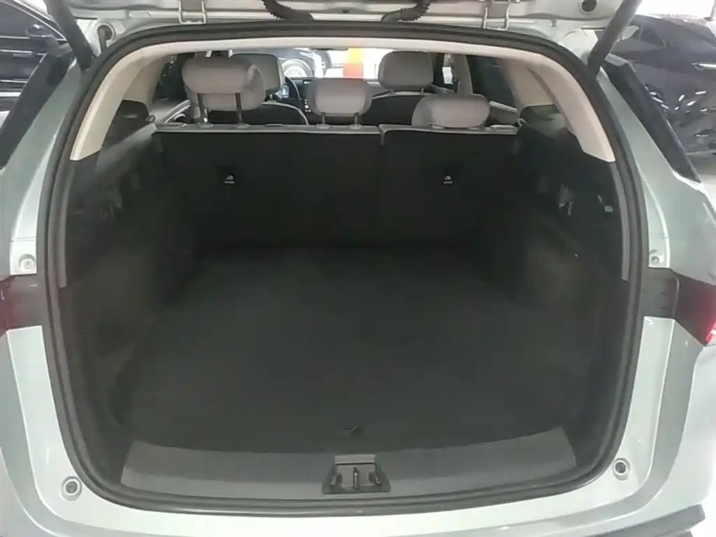 BYD Seal 06 DM-i Touring 2025 DM-i 150KM Flagship фото 19