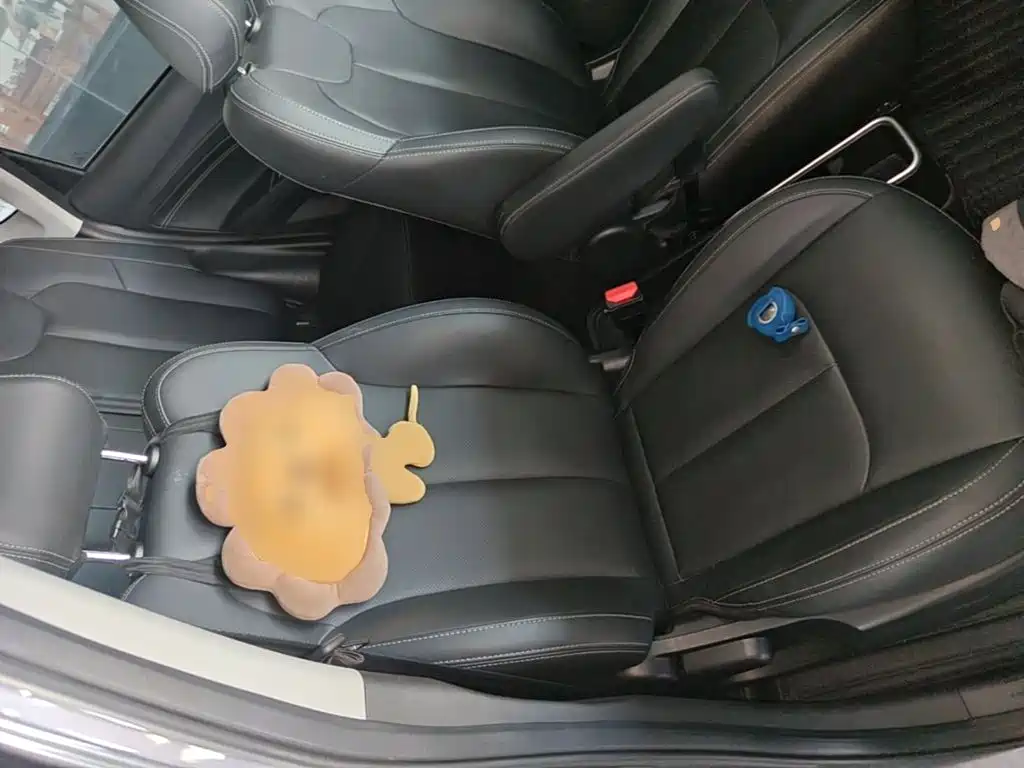 Nezha Auto Nezha V 2021 2022 Pro Long Range Smart Edition