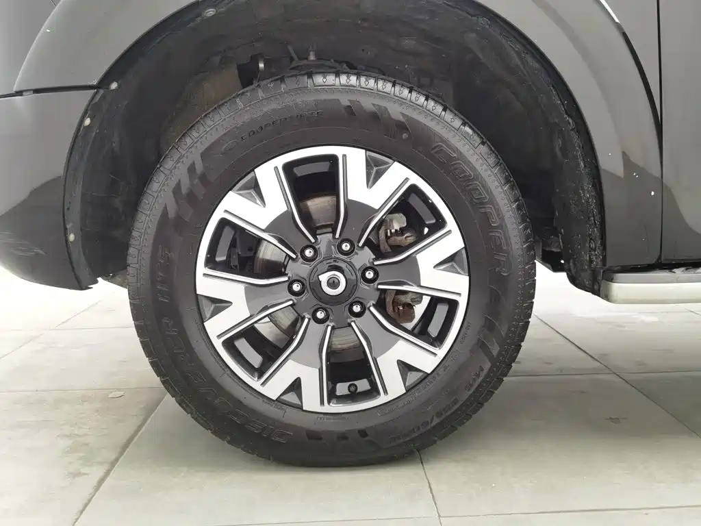 Great Wall Pao 2020 2019 2.0T Automatic Gasoline 2WD Comfort GW4C20B