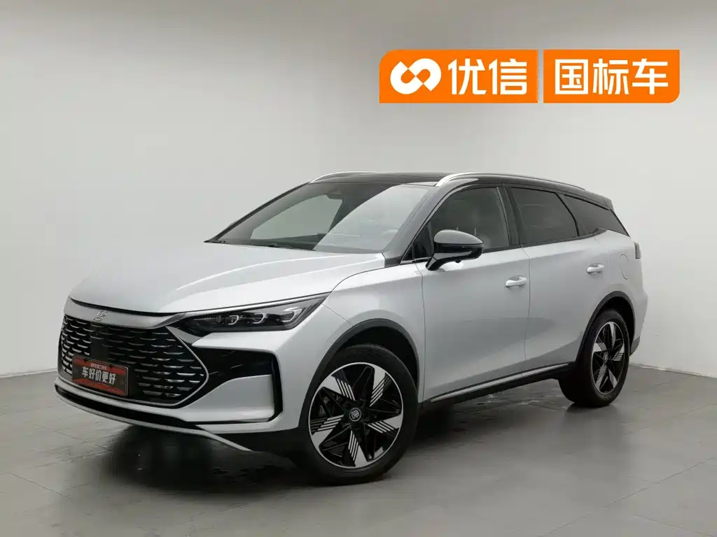 BYD Tang New Energy