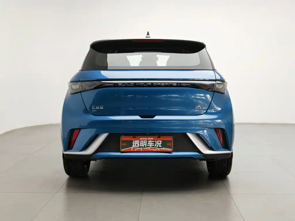 Фото 4 - BYD Dolphin