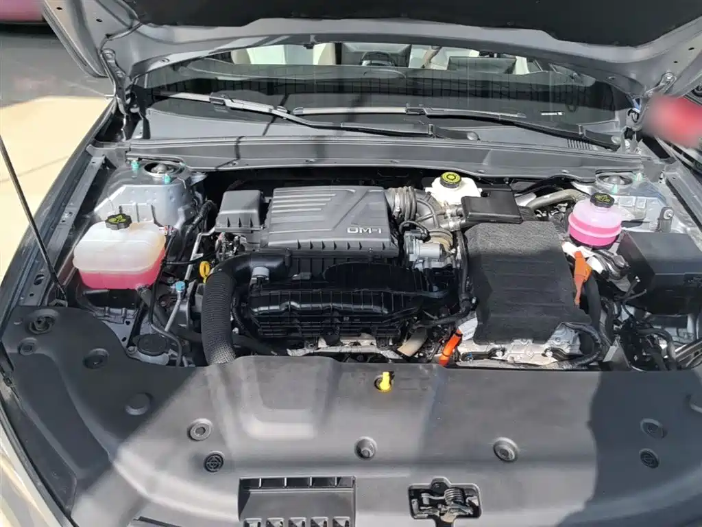 BYD Qin PLUS 2024 Glory Edition DM-i 55KM Leading фото 20