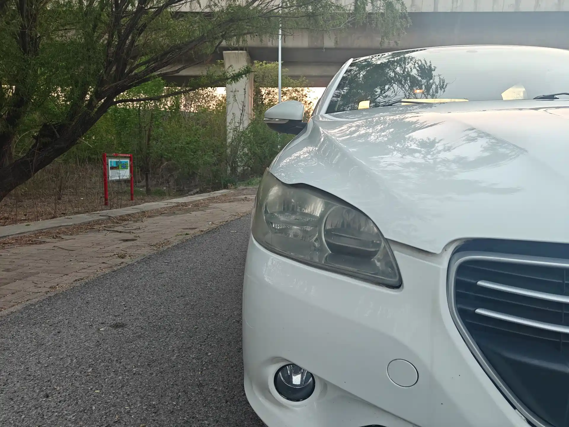 Photo 12 - Peugeot 301