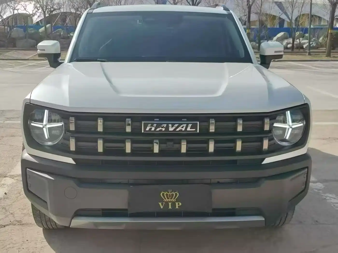 Haval Cool Dog 2023 2022 1.5T DCT 2WD Trend Edition