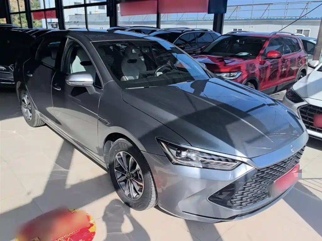 BYD Qin PLUS 2024 Glory Edition DM-i 55KM Leading фото 4