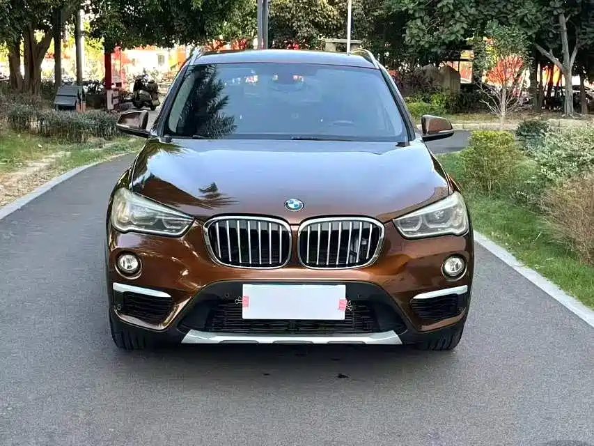 BMW X1 2016 xDrive20Li Luxury Model фото 2