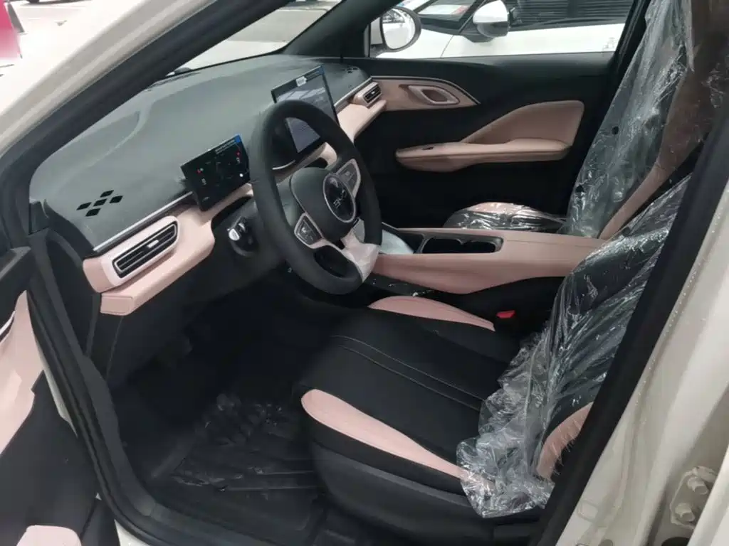 BYD Seagull 2026 2025 Smart Drive Edition 305km Vitality Version