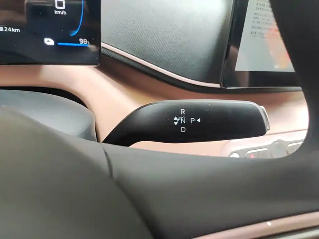 BYD Seagull 2026 2025 Smart Drive Edition 305km Vitality Version