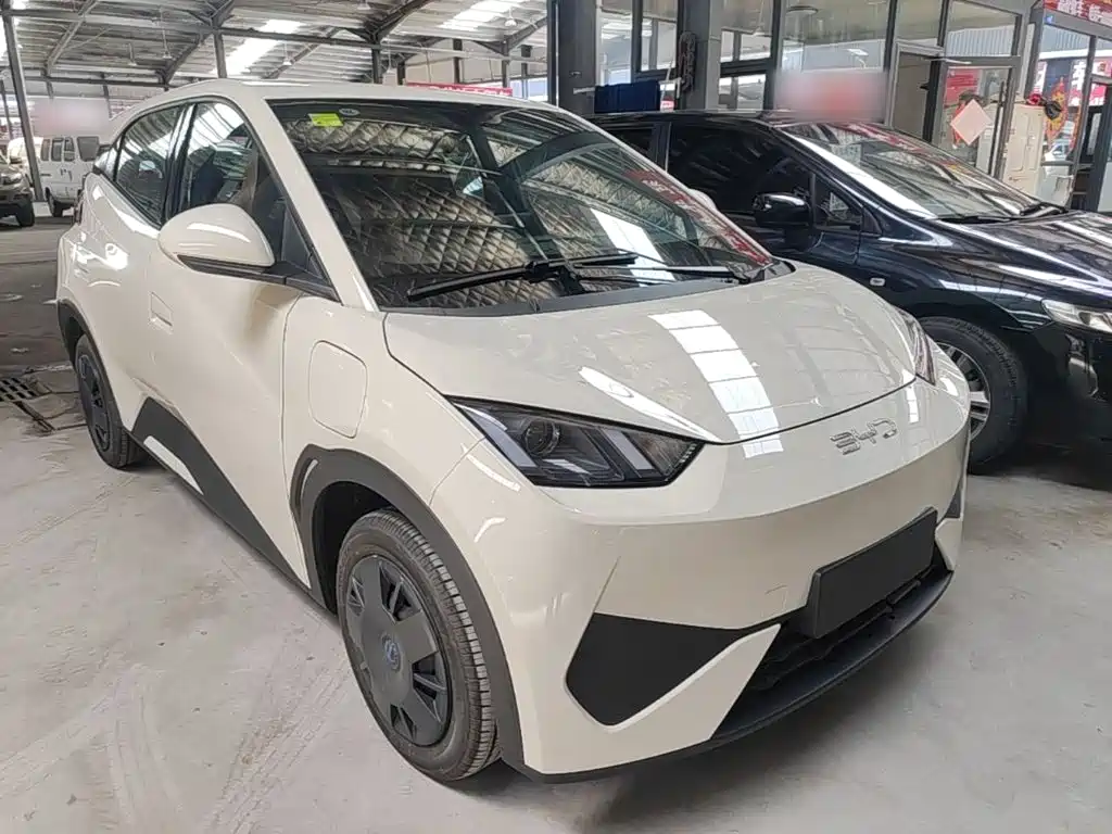 BYD Seagull 2026 2025 Smart Drive Edition 305km Vitality Version