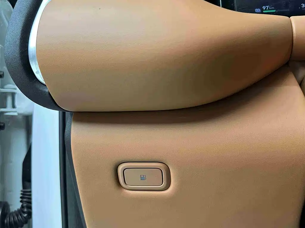 GAC Trumpchi Trumpchi Vision S9 2025 1.5T Hybrid Premium фото 21