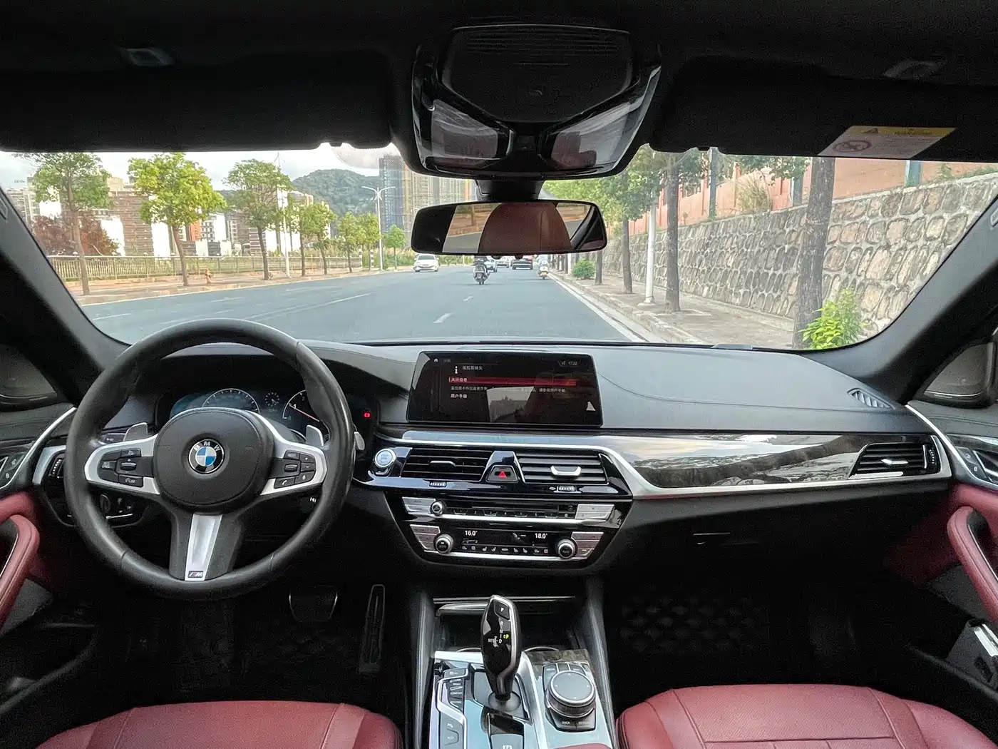 BMW 5 Series 2019 530Li Premium M Sport Package фото 5