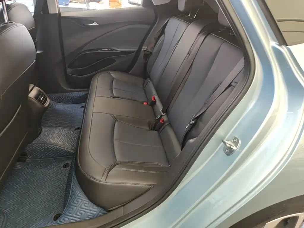BUICK SLIGHTLY BLUE 6
