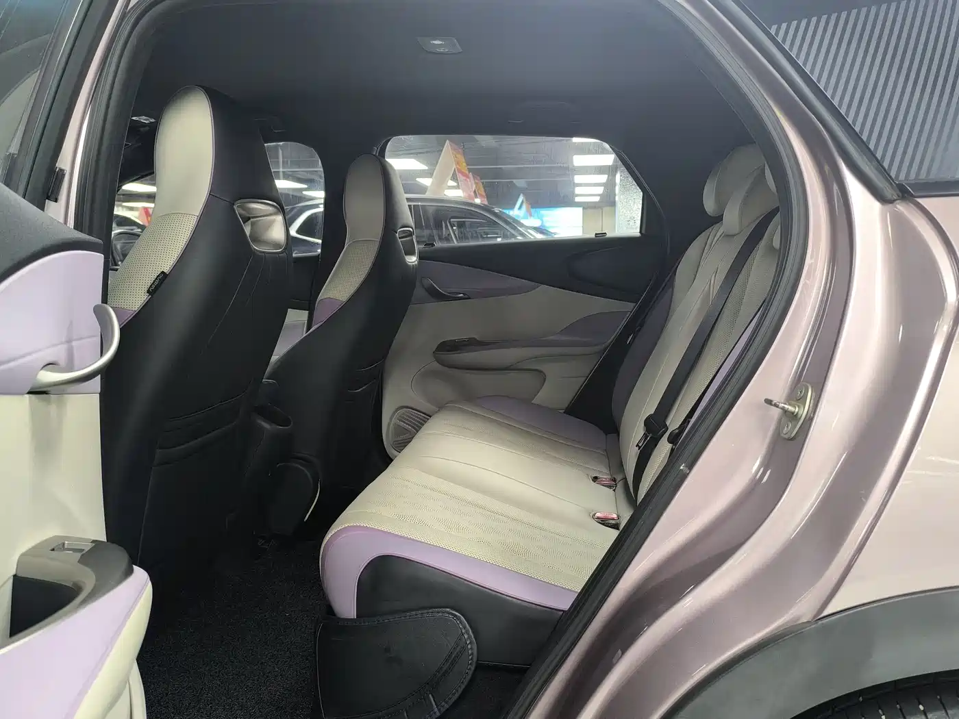 BYD Dolphin 2023 420km Freedom Edition фото 14