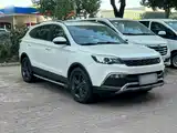 Photo 11 - Leopaard CS10