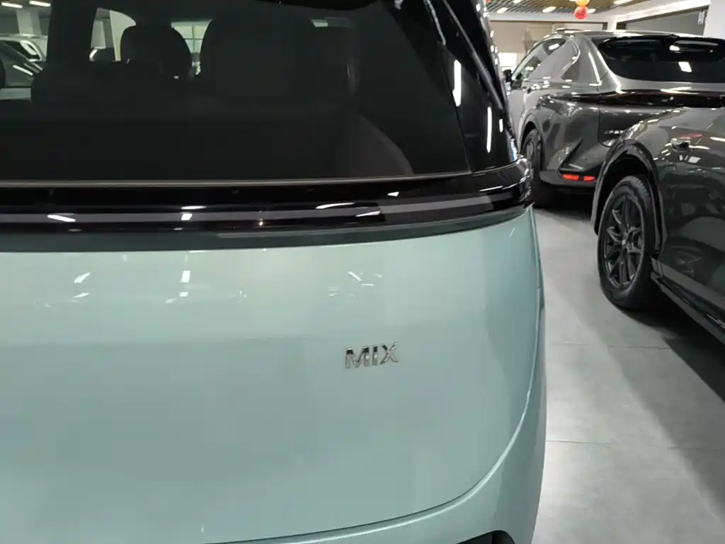 ZEEKR MIX 2026 2025 Long Range Intelligent Driving Edition