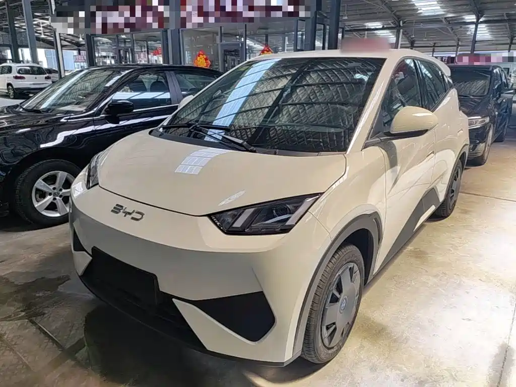 BYD Seagull 2026 2025 Smart Drive Edition 305km Vitality Version