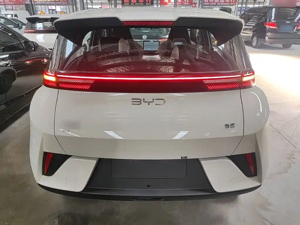 BYD Seagull 2026 2025 Smart Drive Edition 305km Vitality Version
