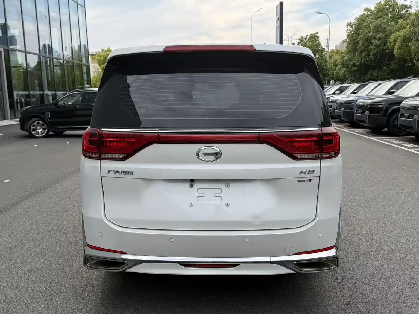 GAC Trumpchi Trumpchi M8 2023 Leading Series 390T Luxury Edition фото 13