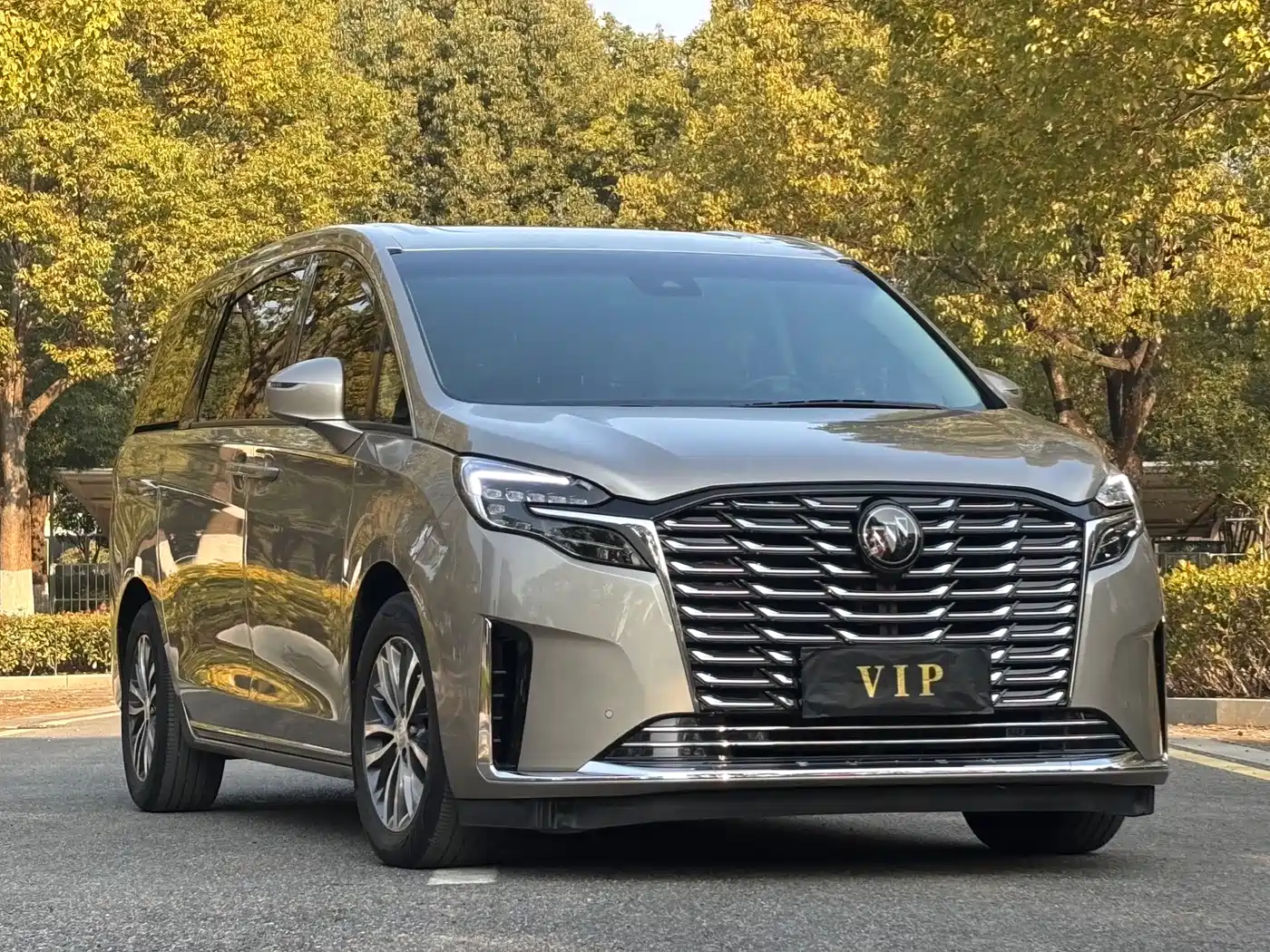 Buick GL8 2023 ES Landmaster Exclusive фото 3