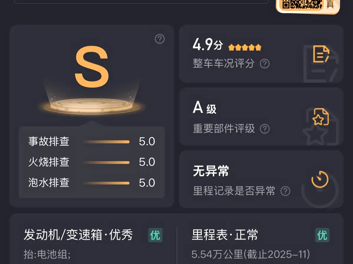 QQ New Energy Little Ant 2021 2021 150K Ant Fans Edition Ant Cool LFP