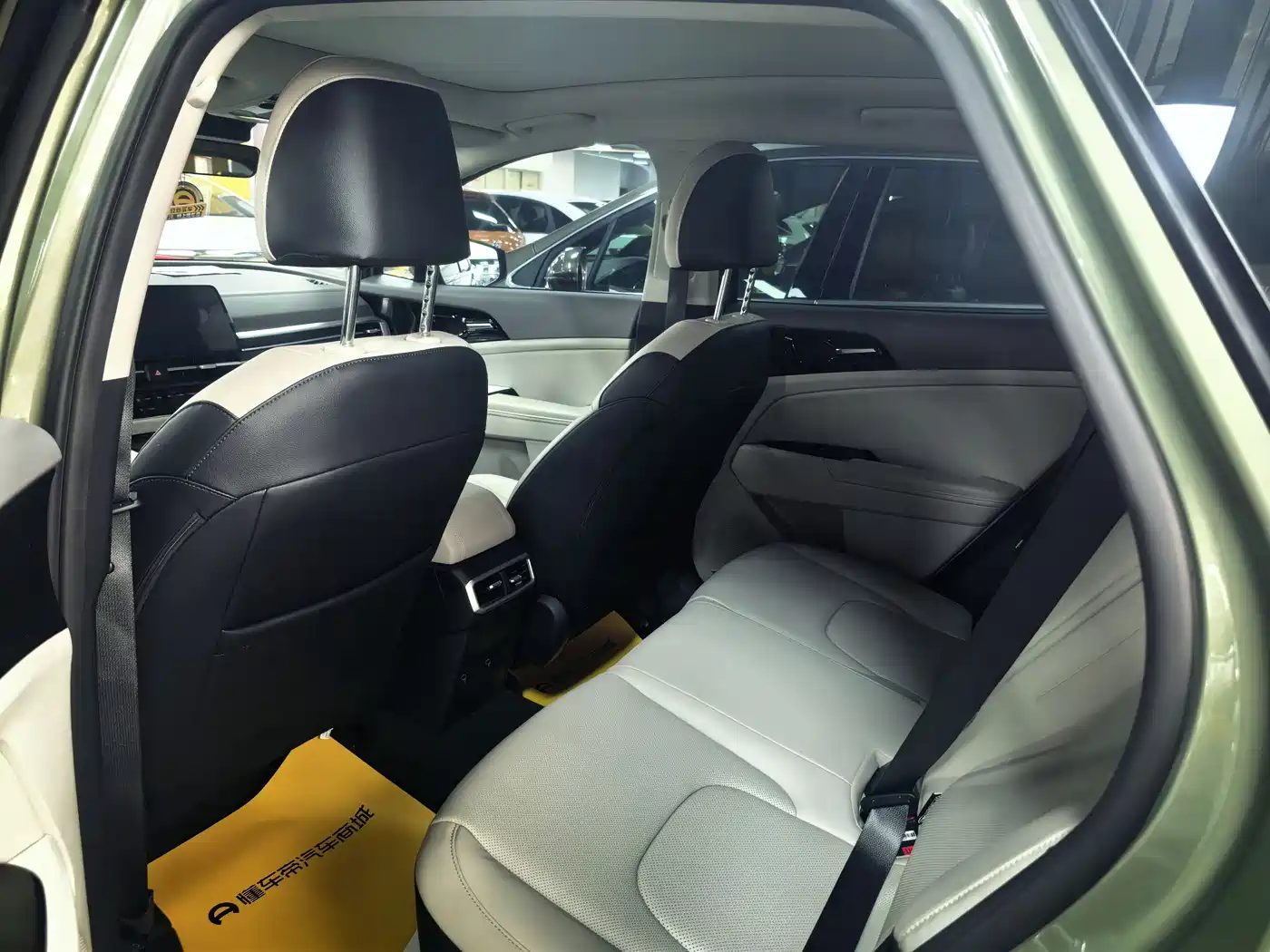 KIA LION PLATINUM EXPANDS THE WORLD