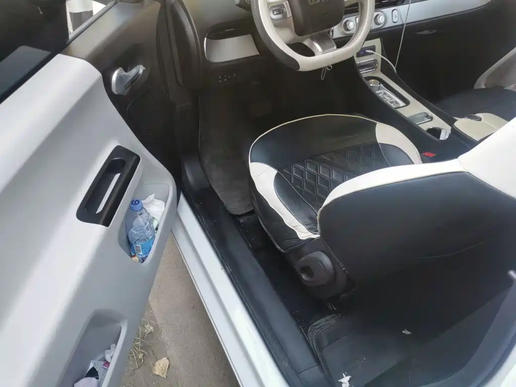 Changan Lumin 2026 2026 Model 205km Treasure Edition