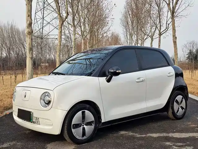 EULER BLACK CAT 2022
