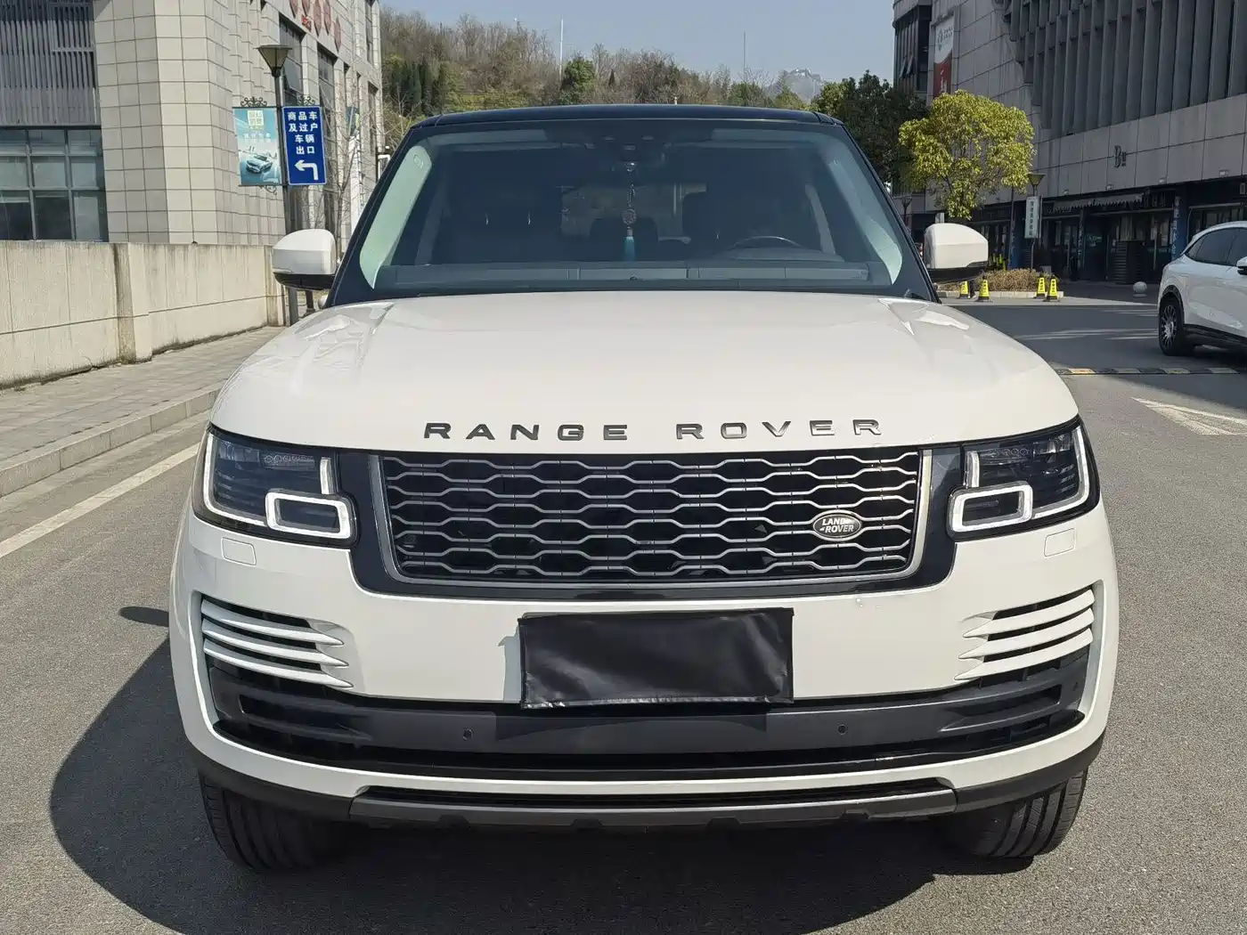 Land Rover Range Rover 2022 3.0 L6 360PS Golden Age Edition фото 8