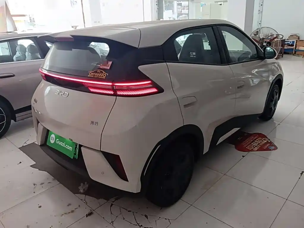 BYD Seagull 2026 2025 Smart Drive Edition 305km Vitality Version