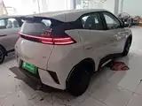 Фото 7 - BYD Seagull