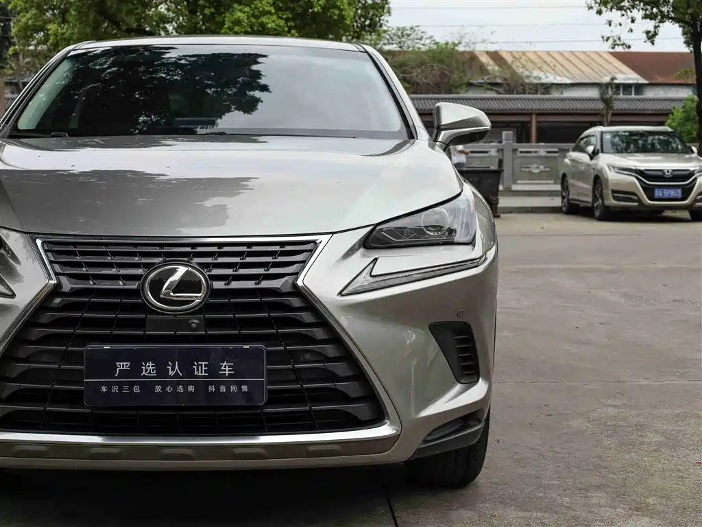 Lexus NX 2018 Model 200 FWD Fengxing Edition China V фото 22