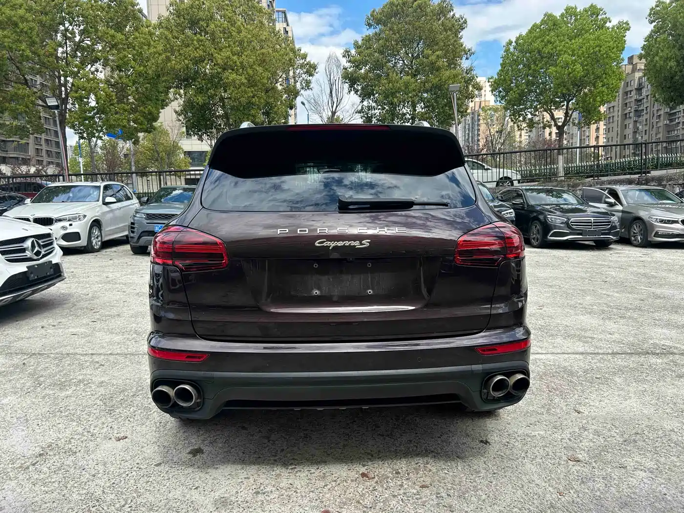 PORSCHE CAYENNE NEW ENERGY