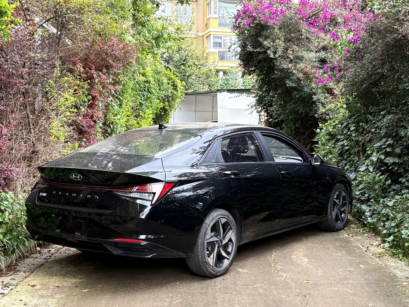 Фото 11 - Hyundai Elantra
