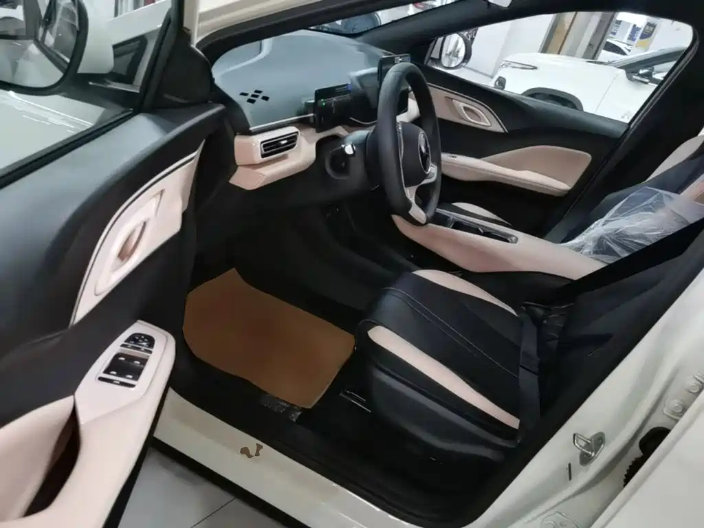 BYD Seagull 2026 2025 Smart Drive Edition 305km Vitality Version