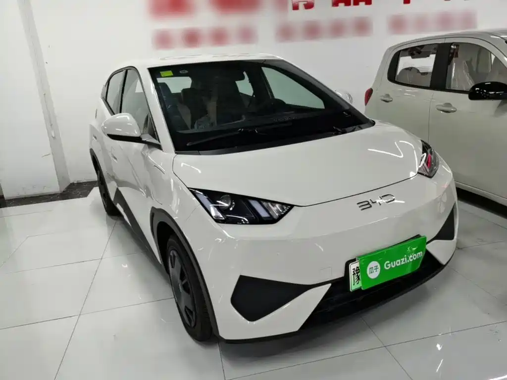 BYD Seagull 2026 2025 Smart Drive Edition 305km Vitality Version