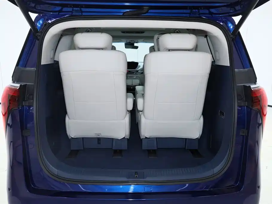 Buick Century 2023 2.0T 6-Seat World Edition фото 24