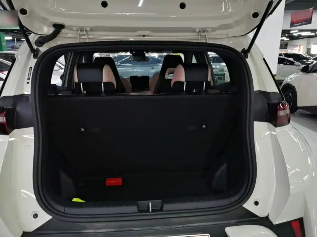 BYD Seagull 2026 2025 Smart Drive Edition 305km Vitality Version