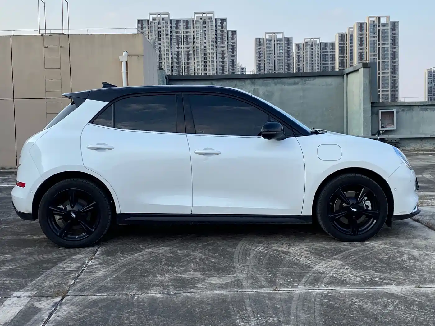 Ora Good Cat 2025 2024 401km Anniversary Edition