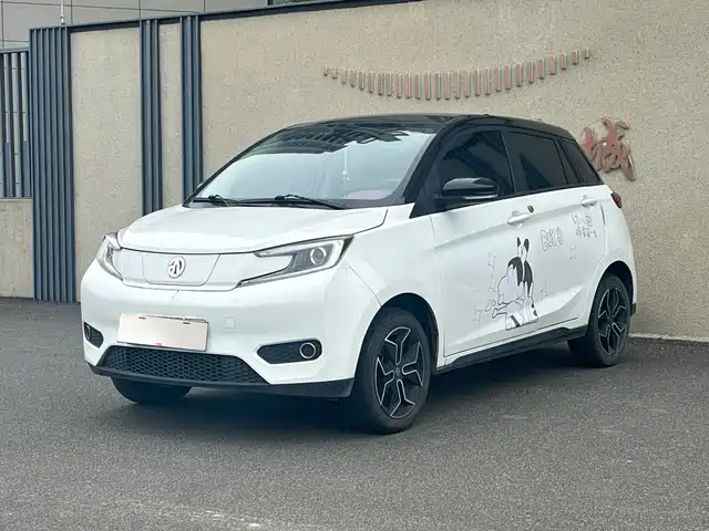 Electric House YOUNG Guang Xiaoxin 2021 L400 4-Seater