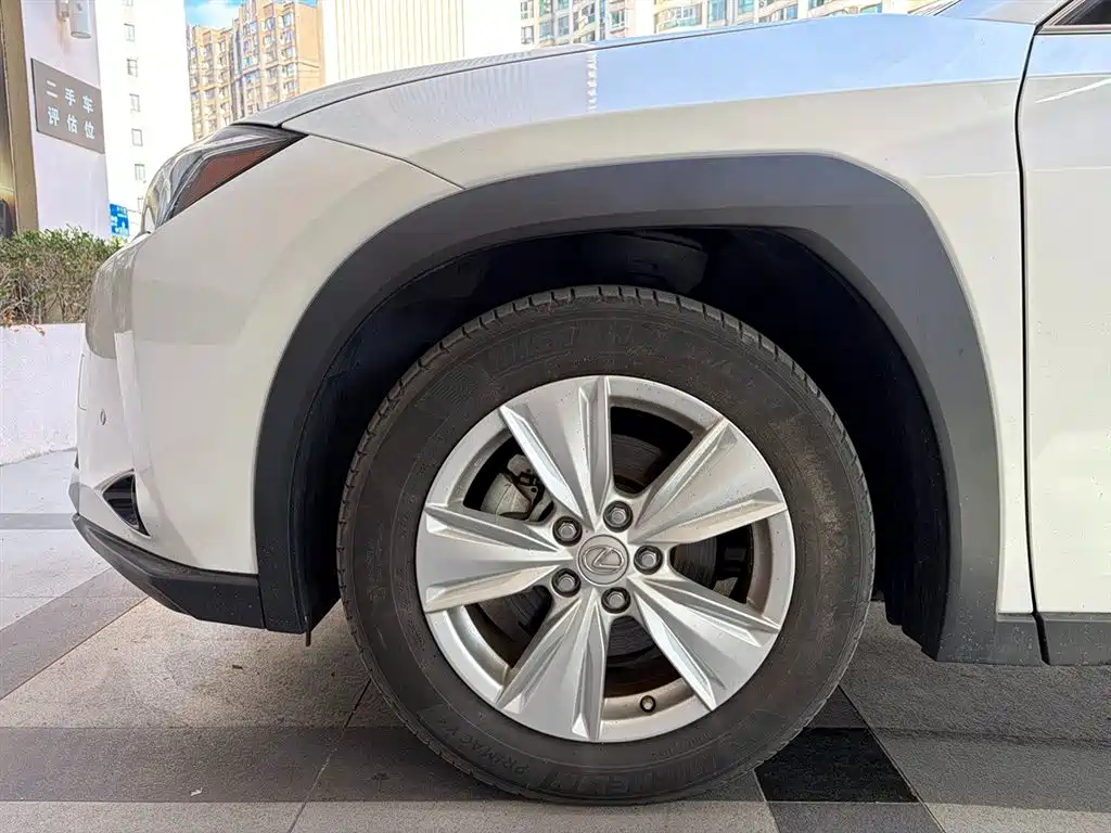 Lexus UX 2021 2020 260h Explore Fun Edition