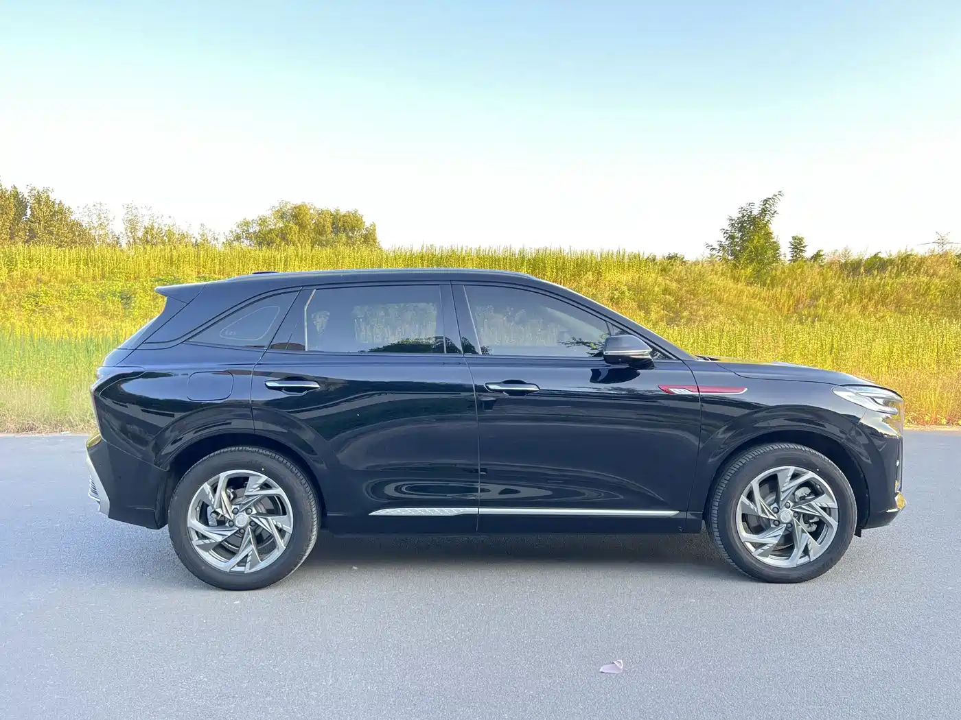 Hongqi HS3 PHEV 2025 2024 PHEV 115km Power Edition