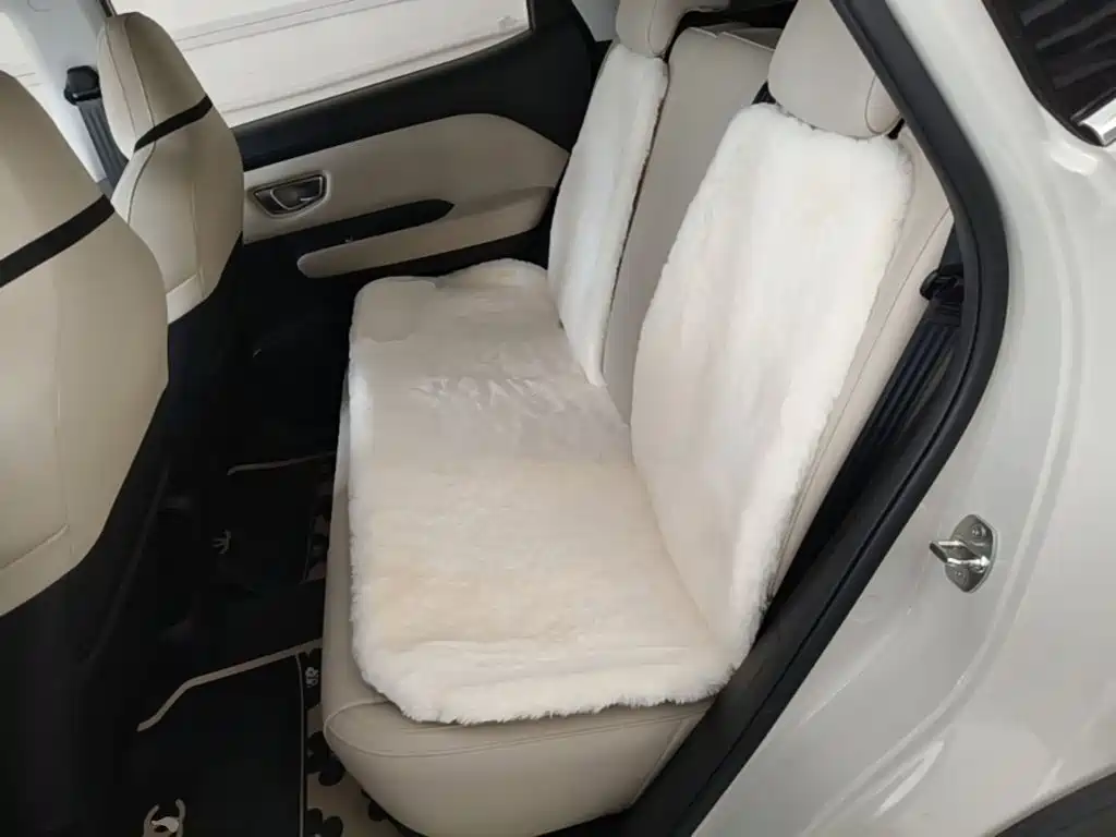 Wuling Motors Wuling Binguo PLUS 2025 2024 Model 330km 5-Seater