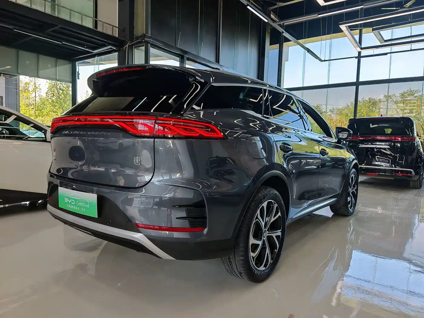 BYD Tang New Energy 2024 2025 DM-i 115KM Prestige Type