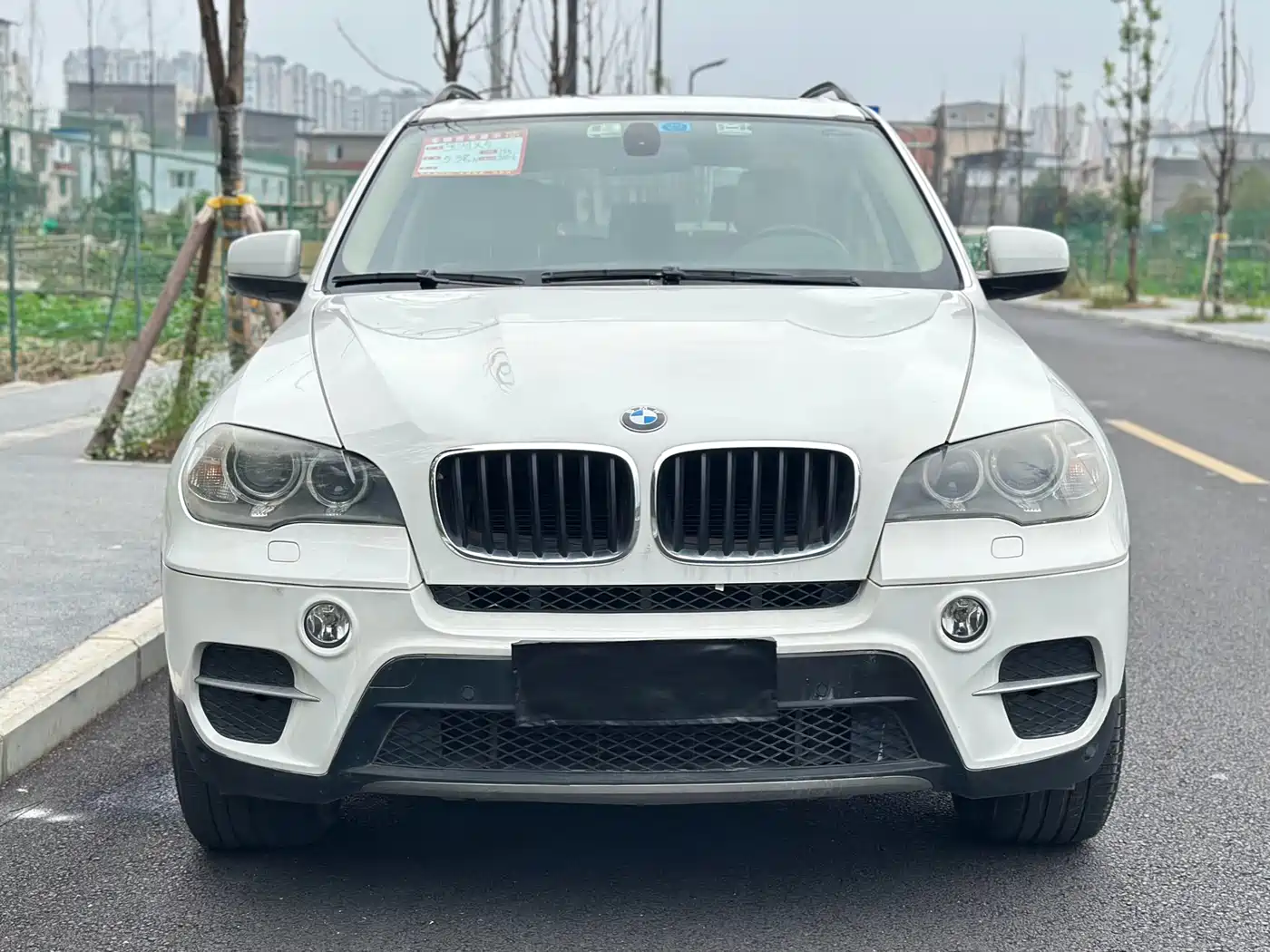 BMW X5 (Import) 2011 xDrive35i Luxury Edition фото 2