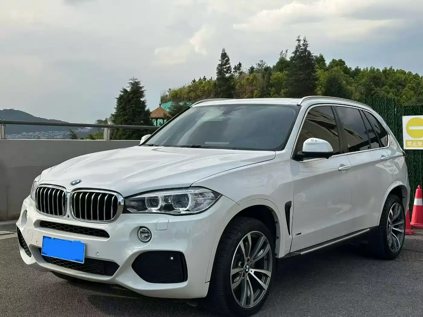BMW X5 (Import) 2019 — пригон из Китая