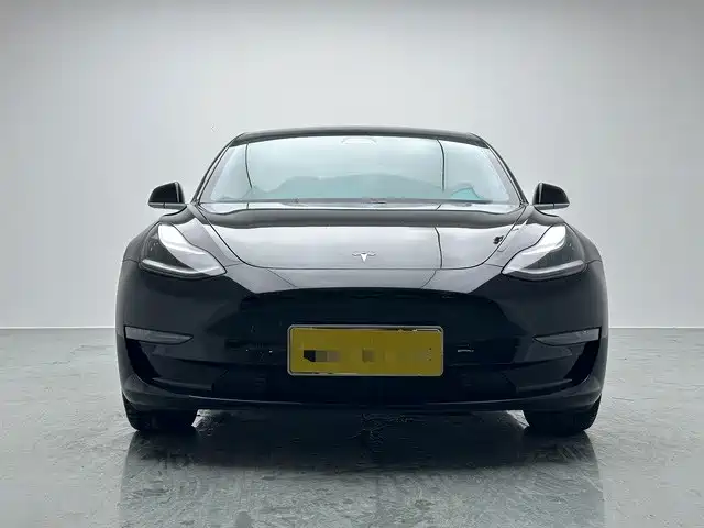 Tesla Model 3 (Import) 2019 2019 Long Range RWD Version