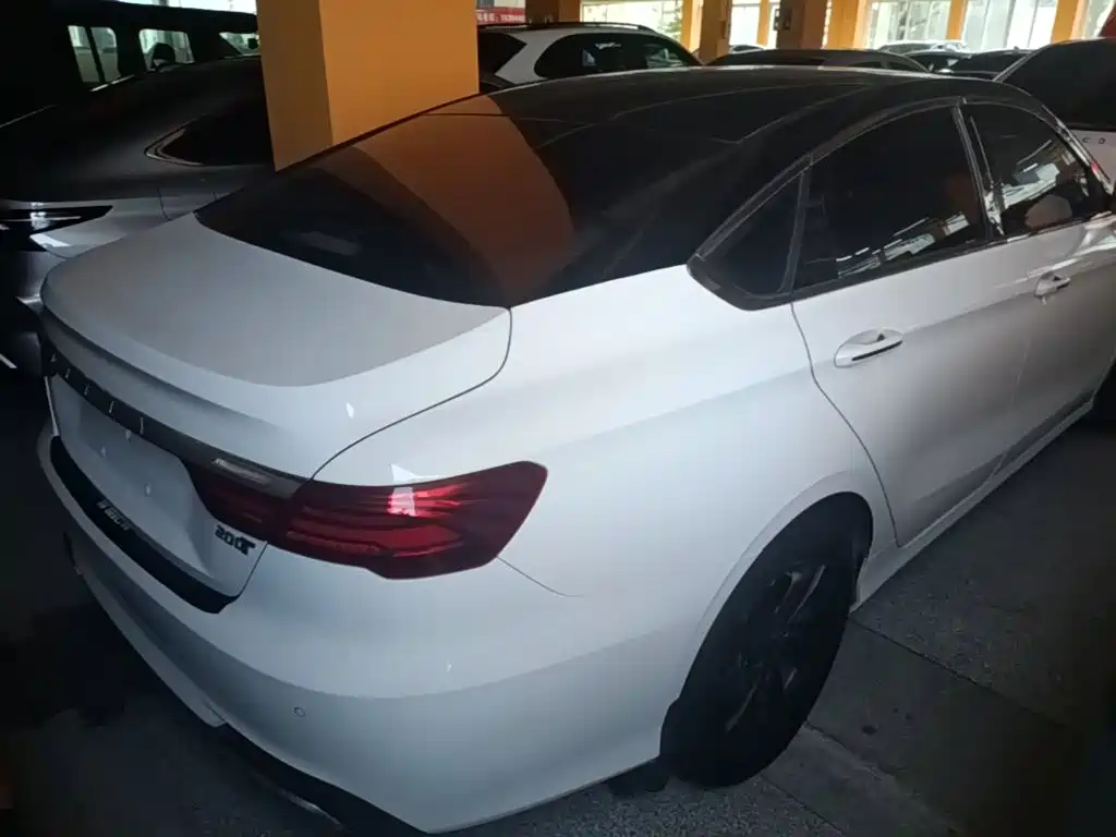 Фото 7 - Geely Binrui